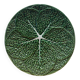 Vintage barbotine dish in the shape of a green cabbage leaf, Portugal