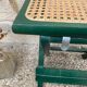 Folding stool in vintage canning