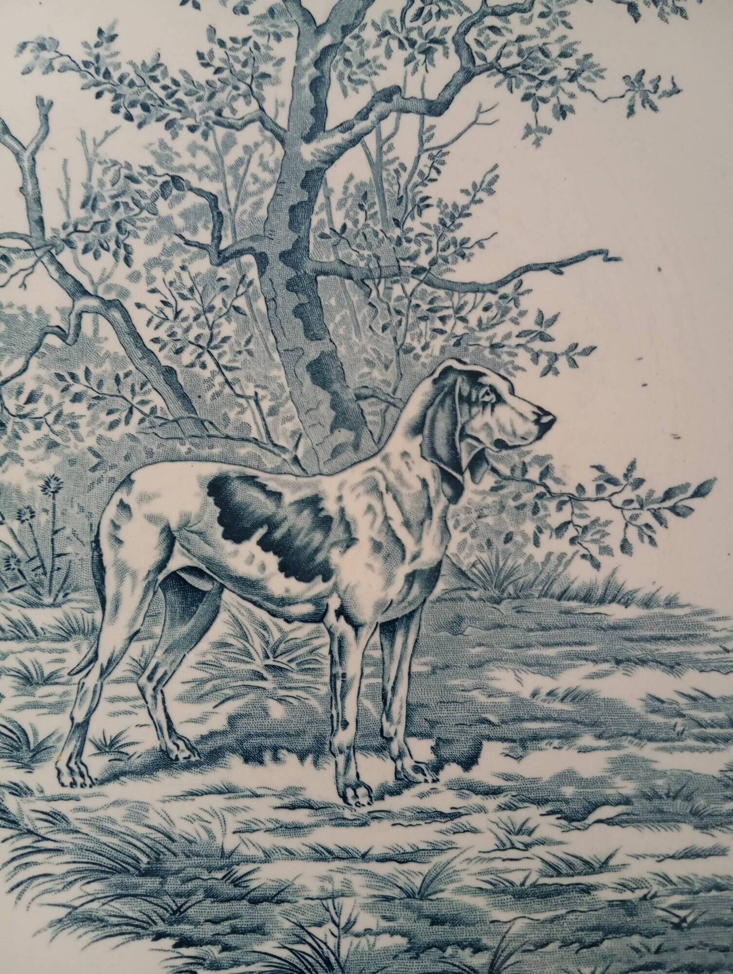 Longchamp hunting dog plate