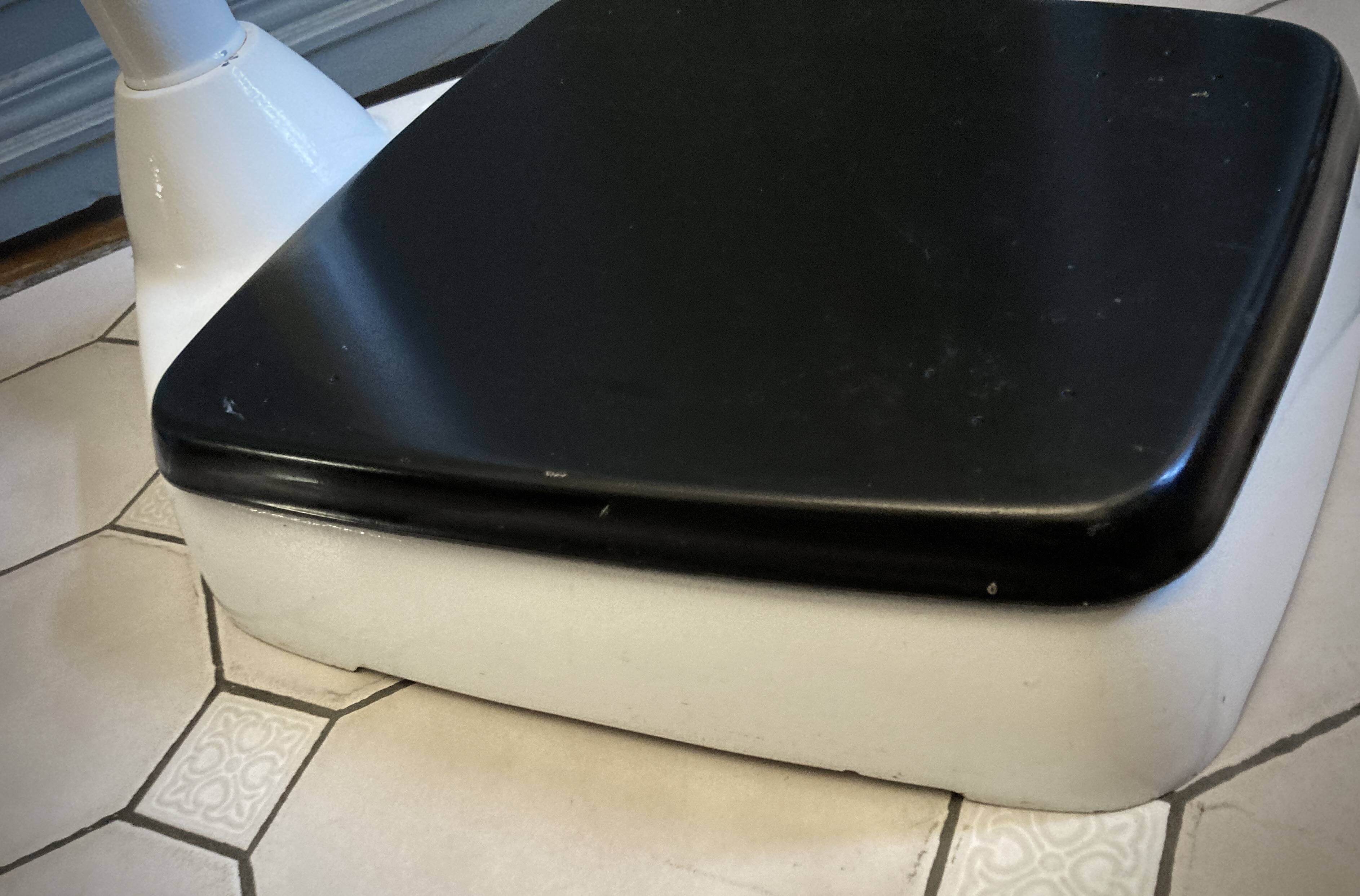 Personal scale and medicine measuring rod