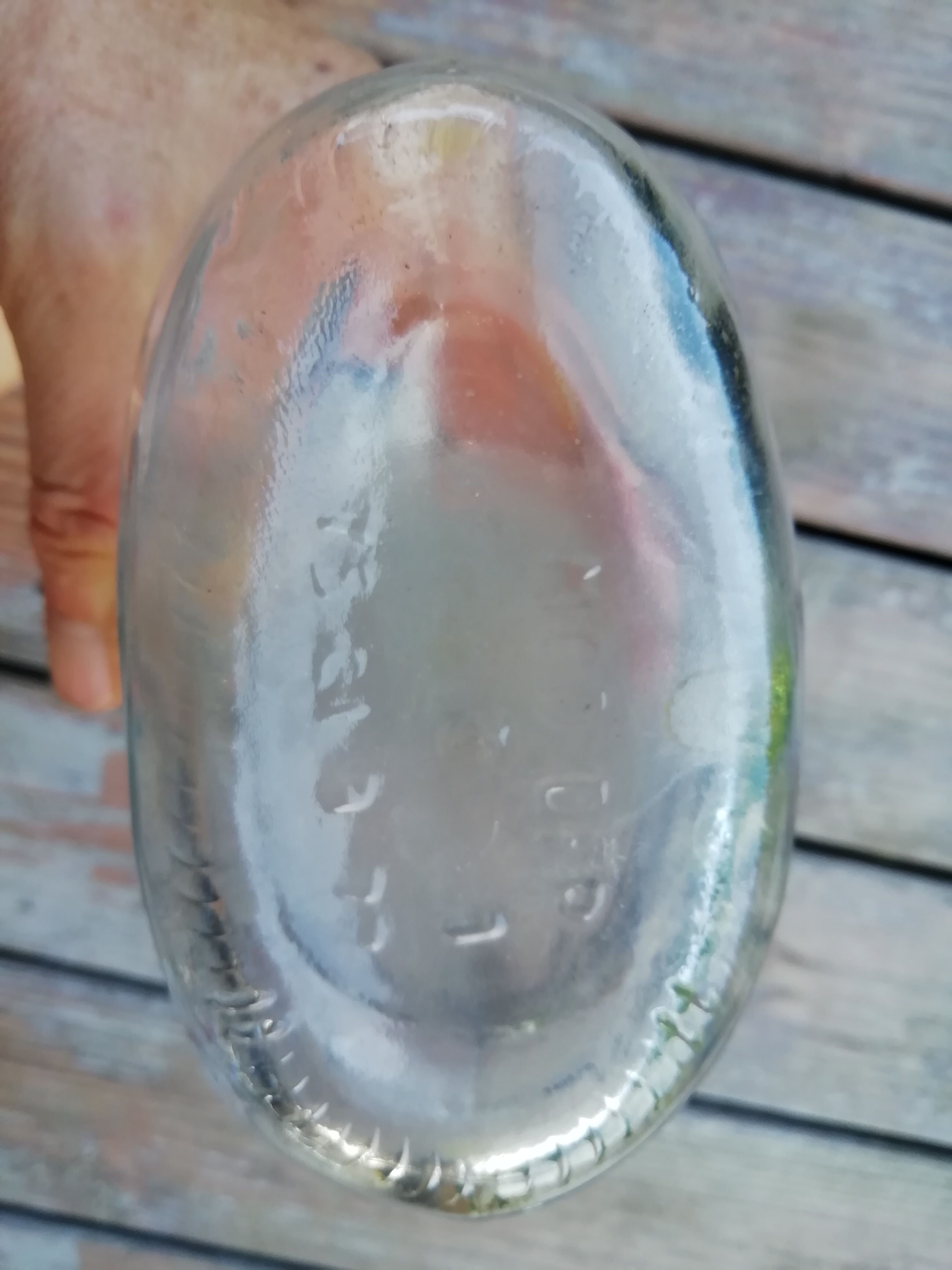 Bottle vase fish