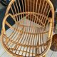 Vintage adult rattan armchair basket