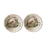 Faience of longwy xix th 2 plates decor snipe game