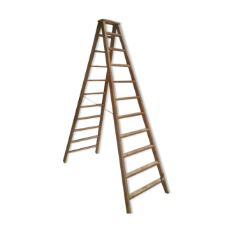Double old painter stepladder