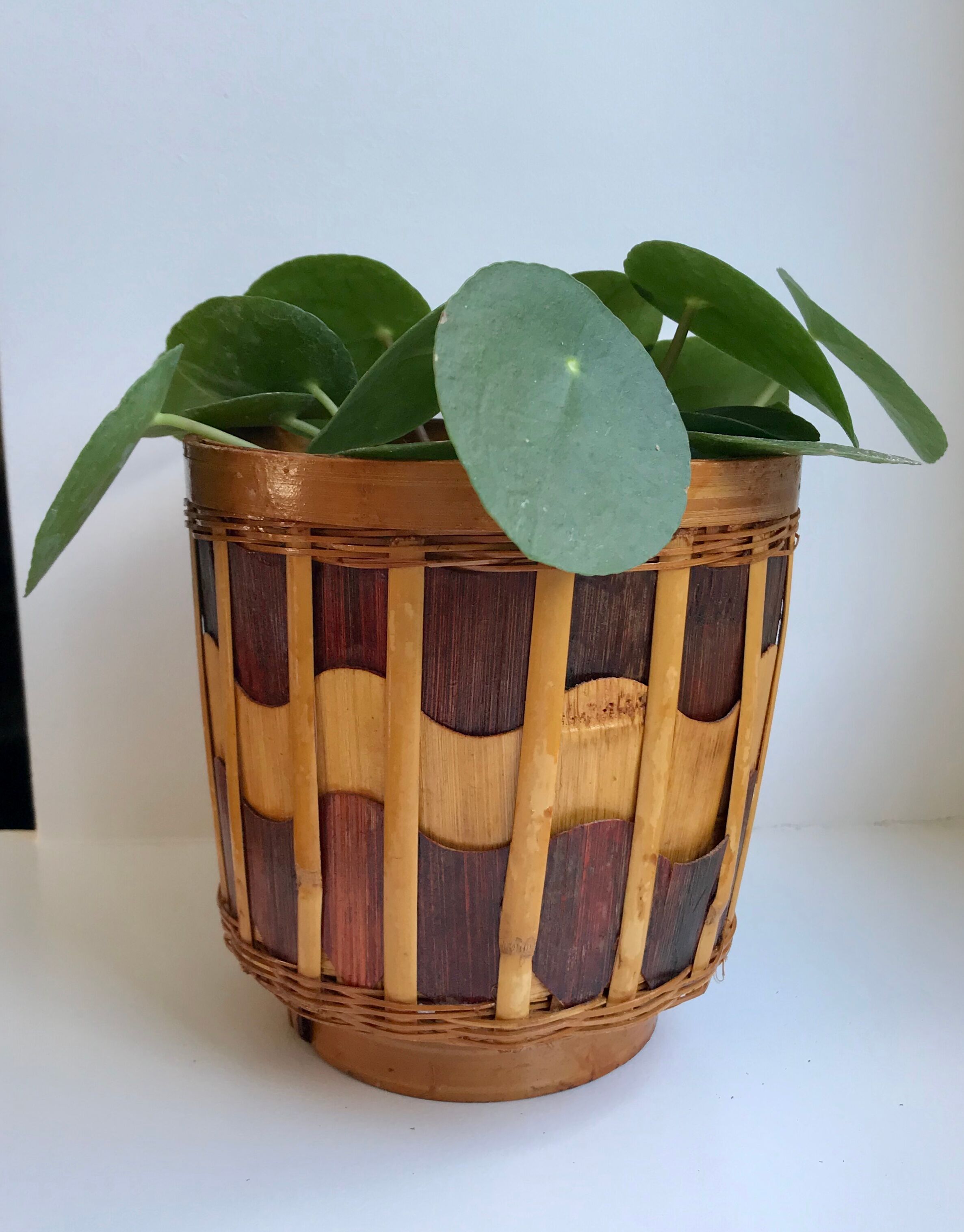 Wooden pot cover and rattan 70s