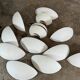 Set of 14 SEDAP plaster wall lights