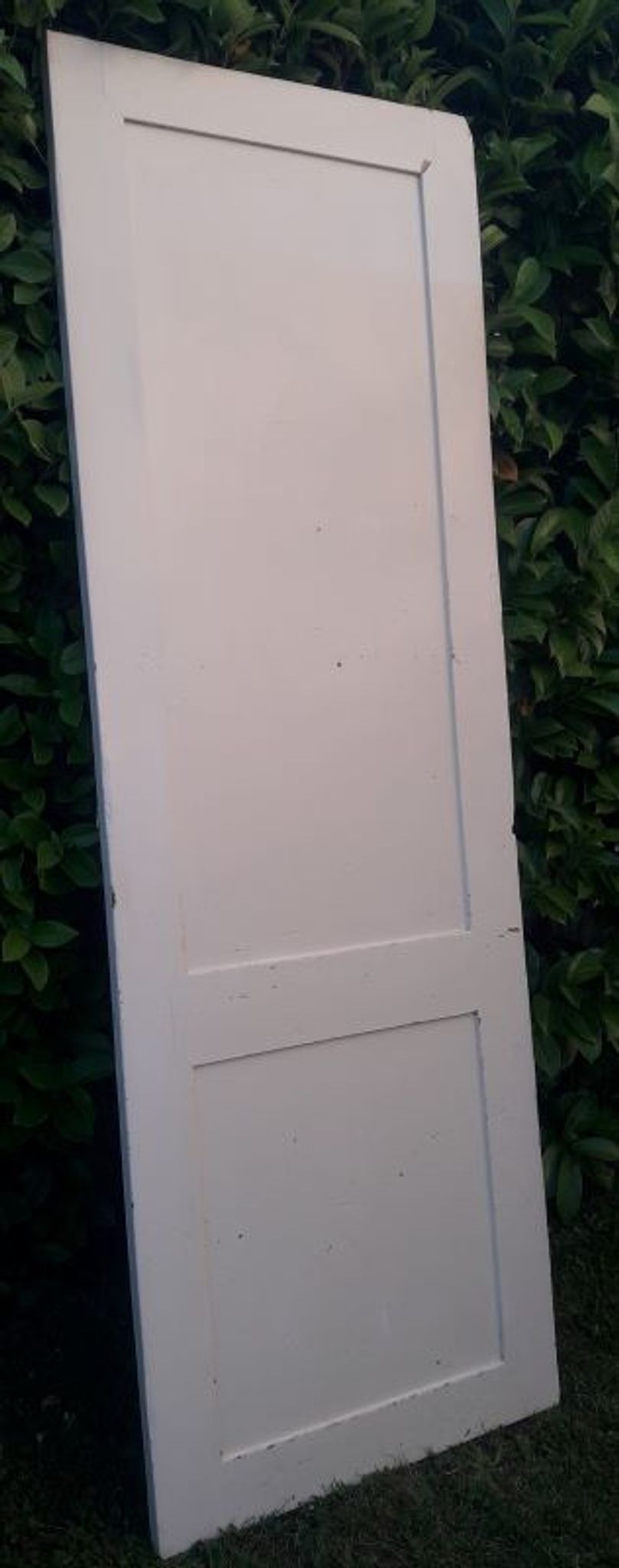 Porte 229,2x79,2cm de placard ancienne