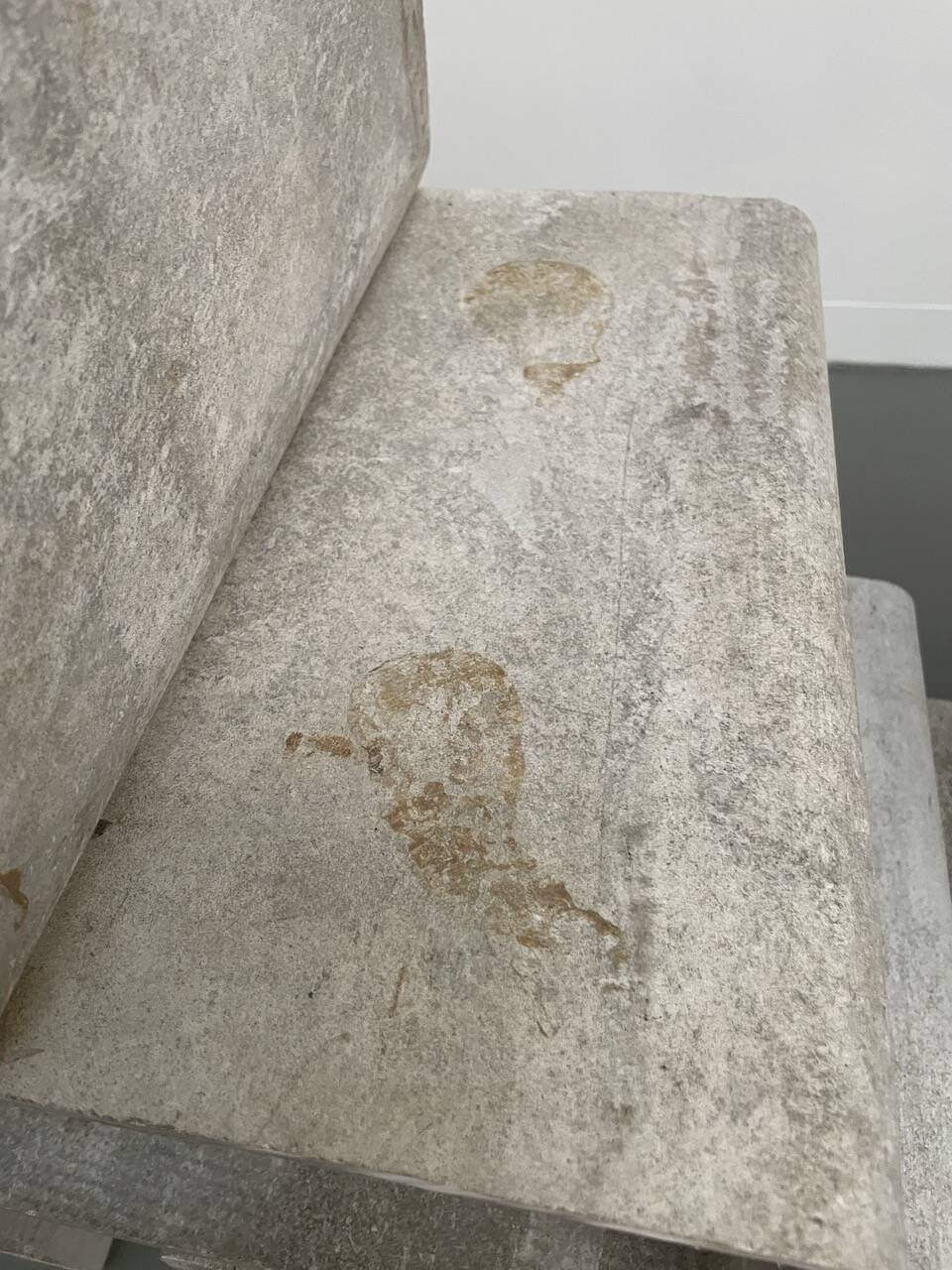 attribution G.Ifert  Shelf 1960