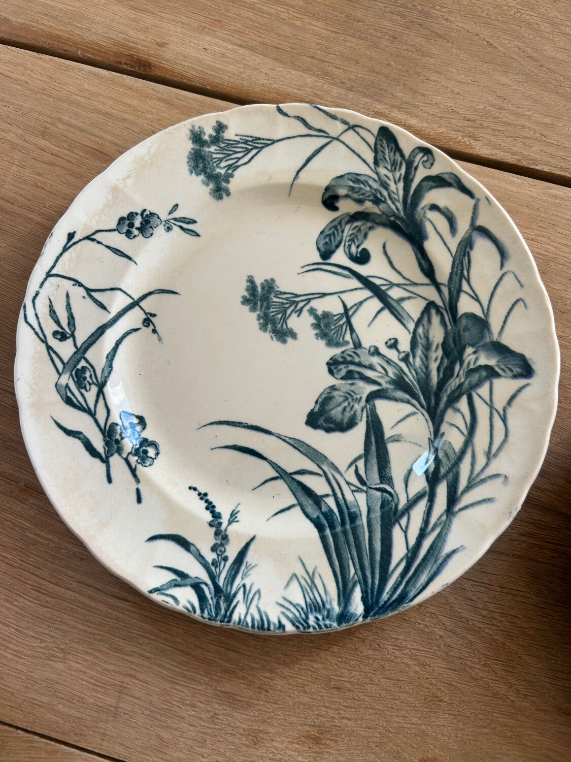 Set of 5 dessert plates Terre de fer Jules Vieillard