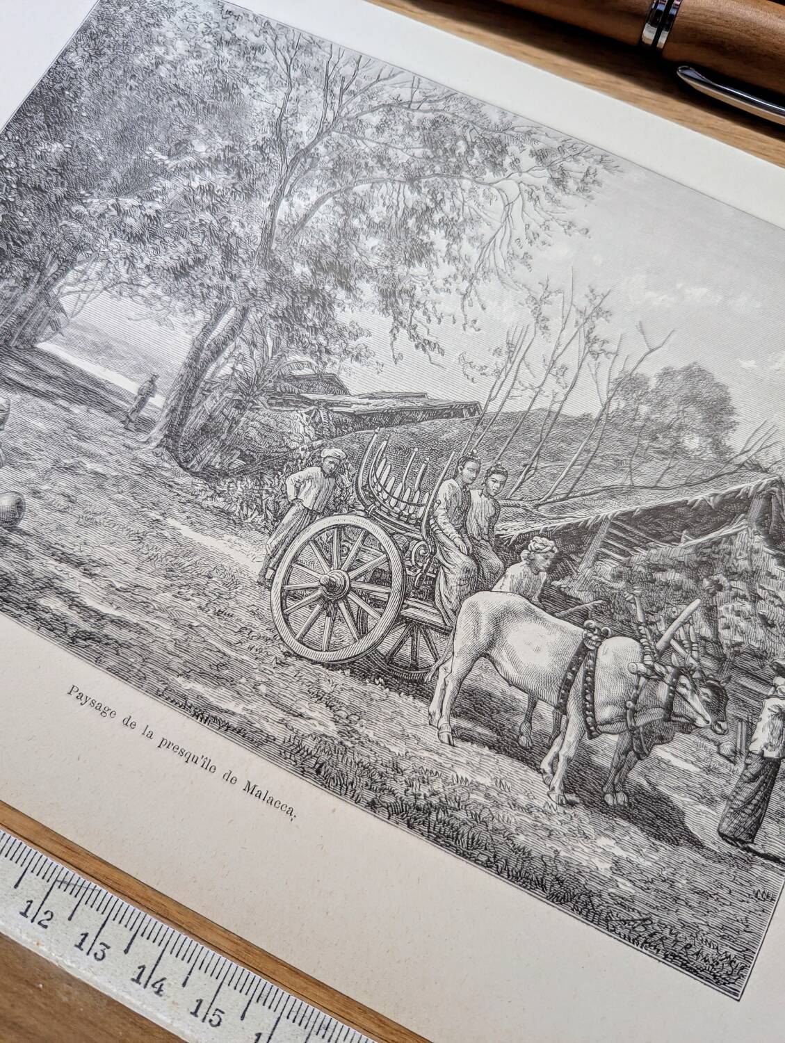 Printed in 1898, Malacca Peninsula, Malaysia.