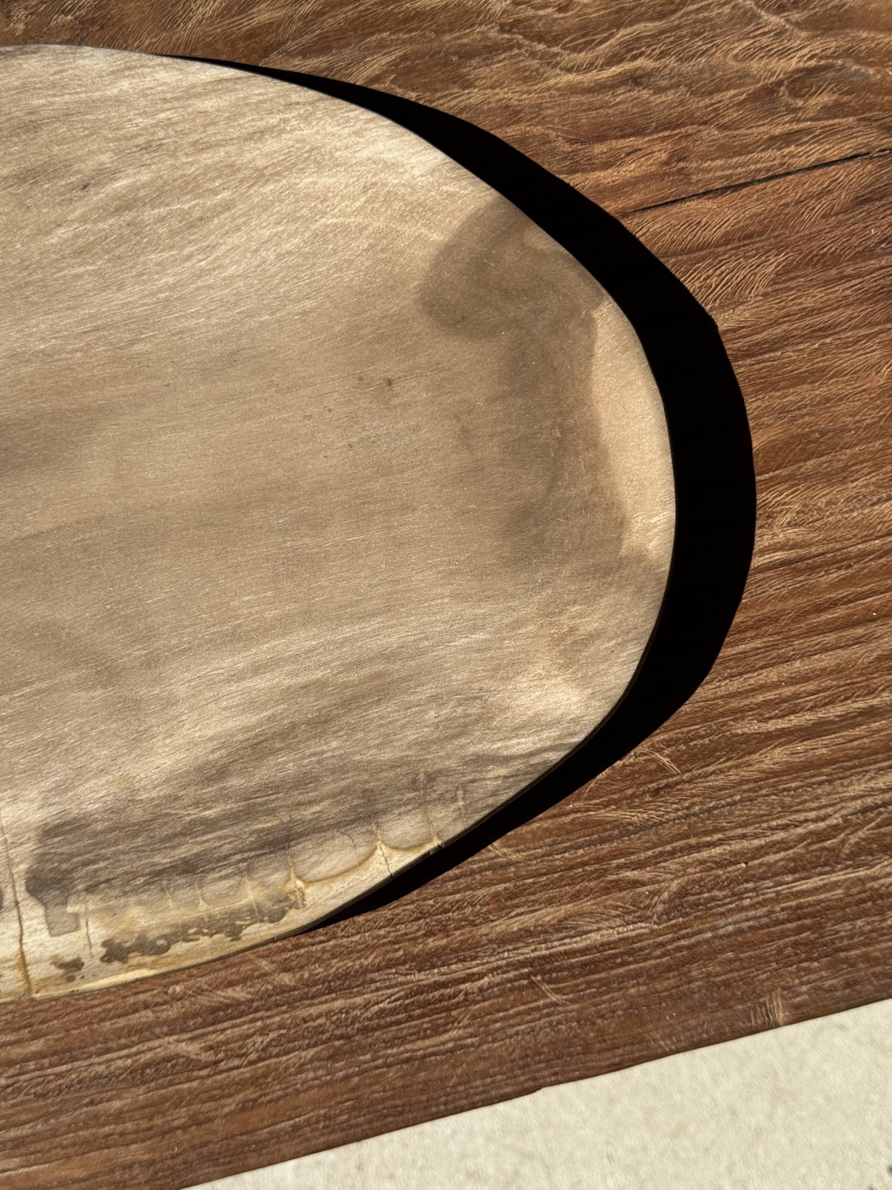 Large oval beige petrified wood dish or bowl D36x28 -3783