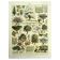 Gravure ancienne 1928 - Verger par A. Millot - Planche botanique fruit