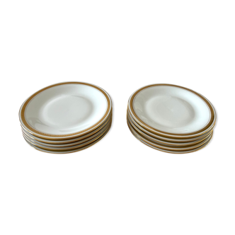 10 plates in Solognes porcelain