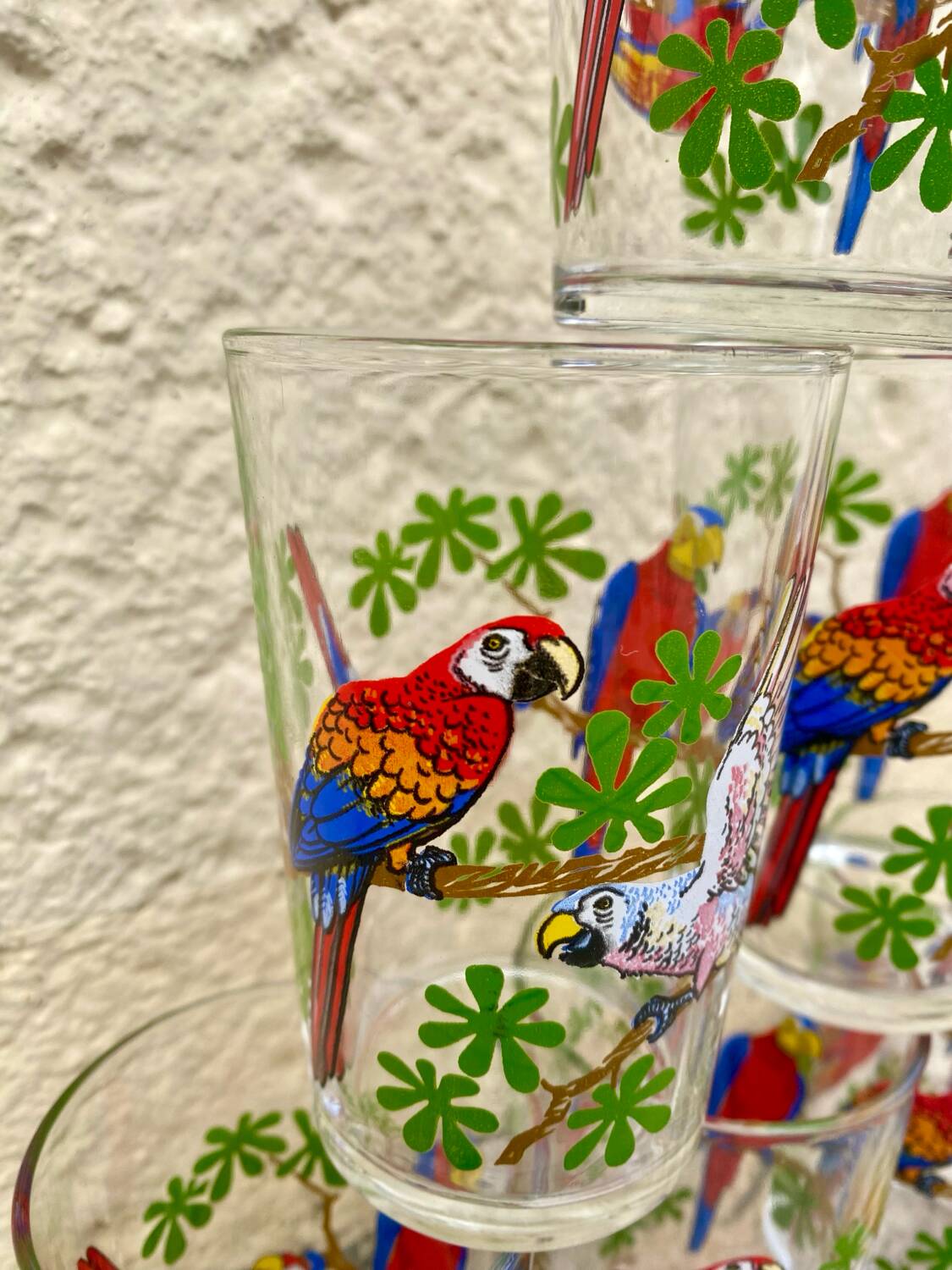 Six vintage parakeet glasses