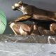 Panther desk lamp in spelter on a black and white marble base 1925
