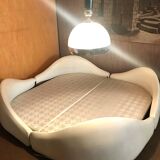 Anemone bed by Bernard Gauvin 1972