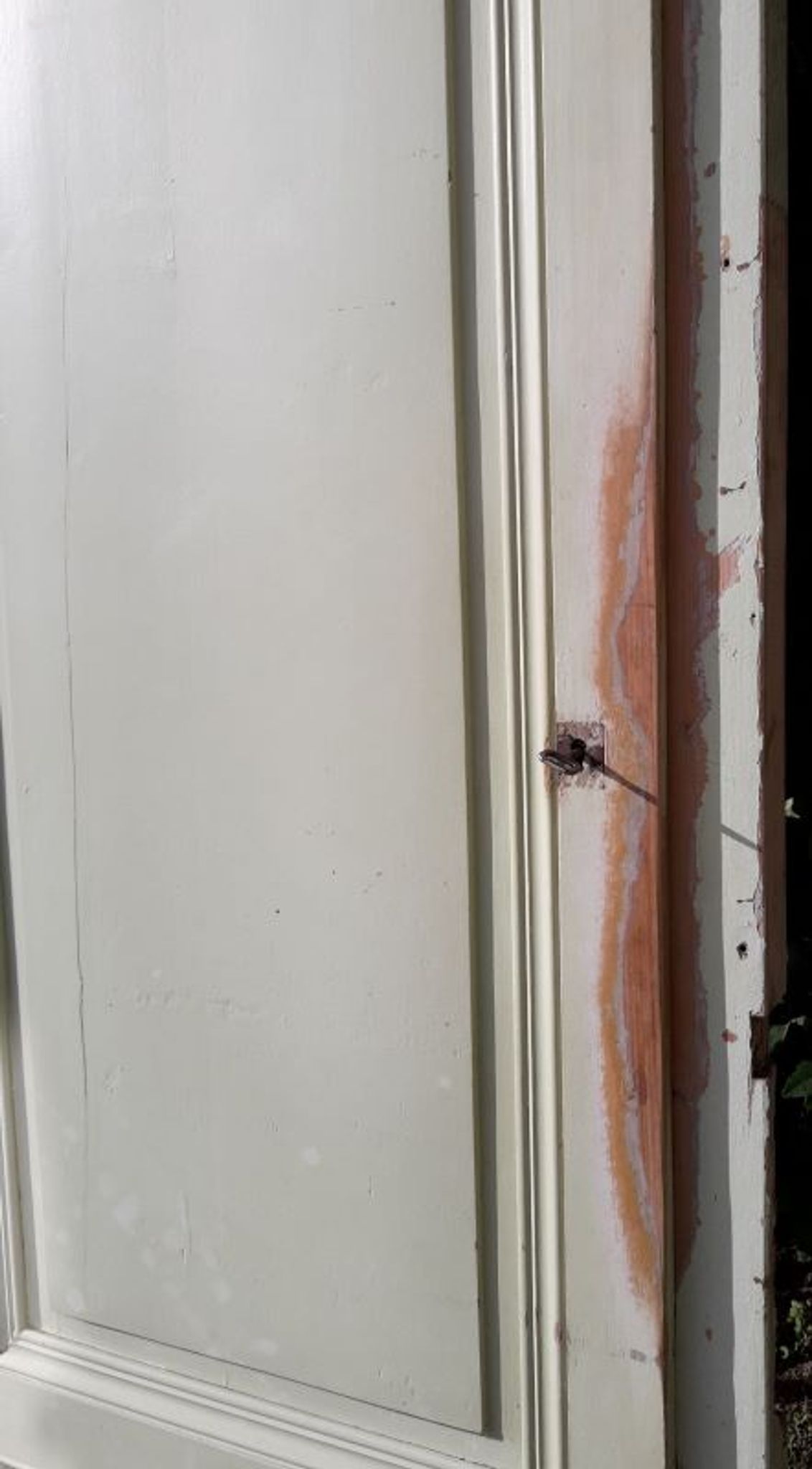 Porte 67.2x237.2cm de placard et son cadre
