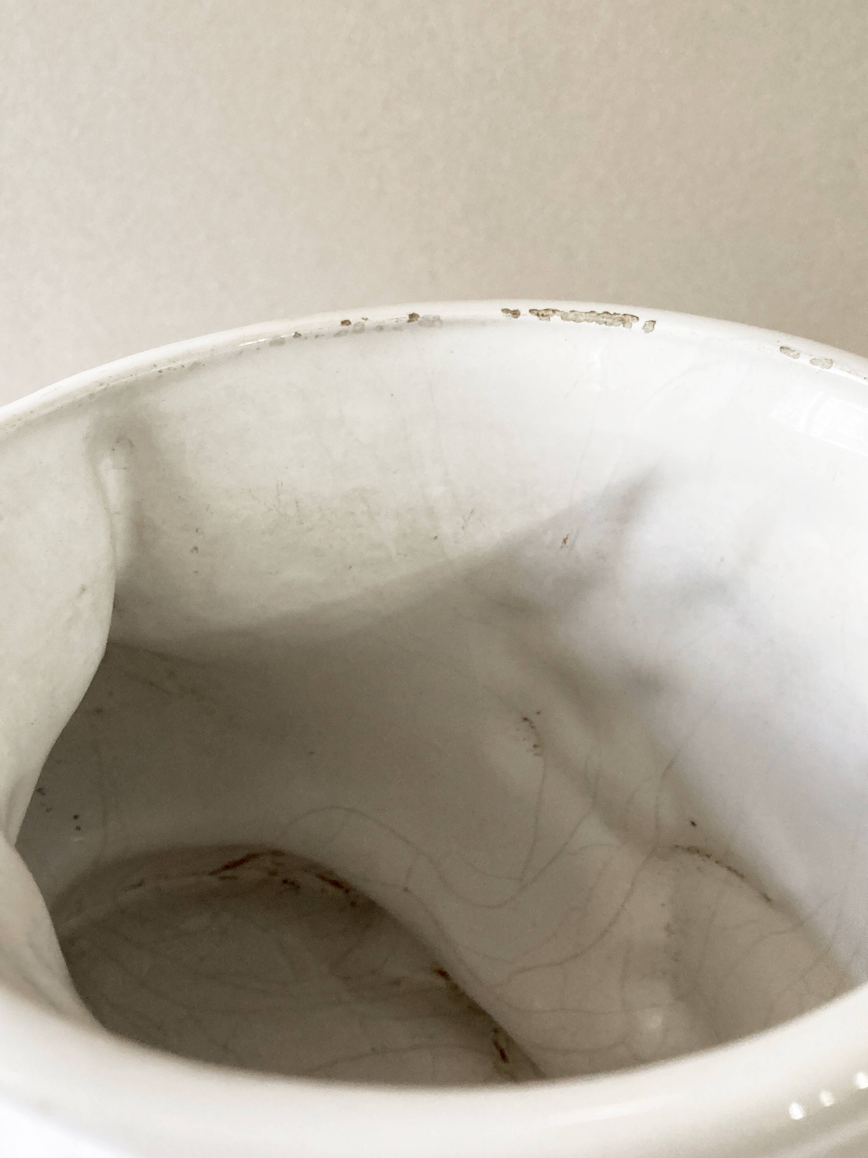 White ceramic fish plant pot