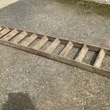 Old ladder