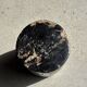 Black petrified wood side table with beige side H35 D24 - 3352