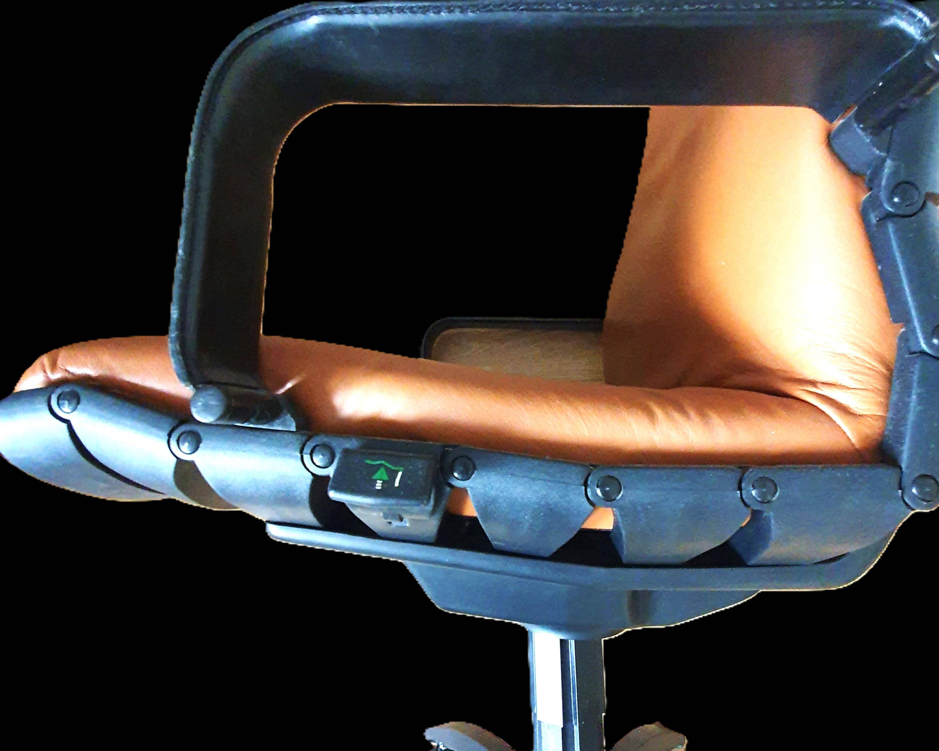 Antropovarius armchair by F.A. Porsche for Poltrona Frau