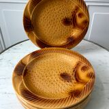 Set of 6 plates in slurry model fish 60s