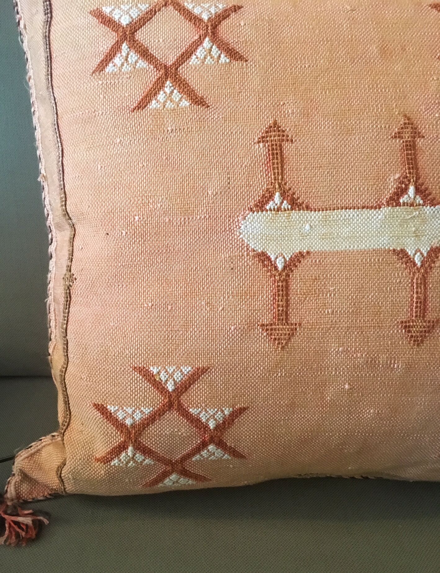 Natural vegetable silk cushion cover
