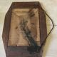 Wooden mirror 30s