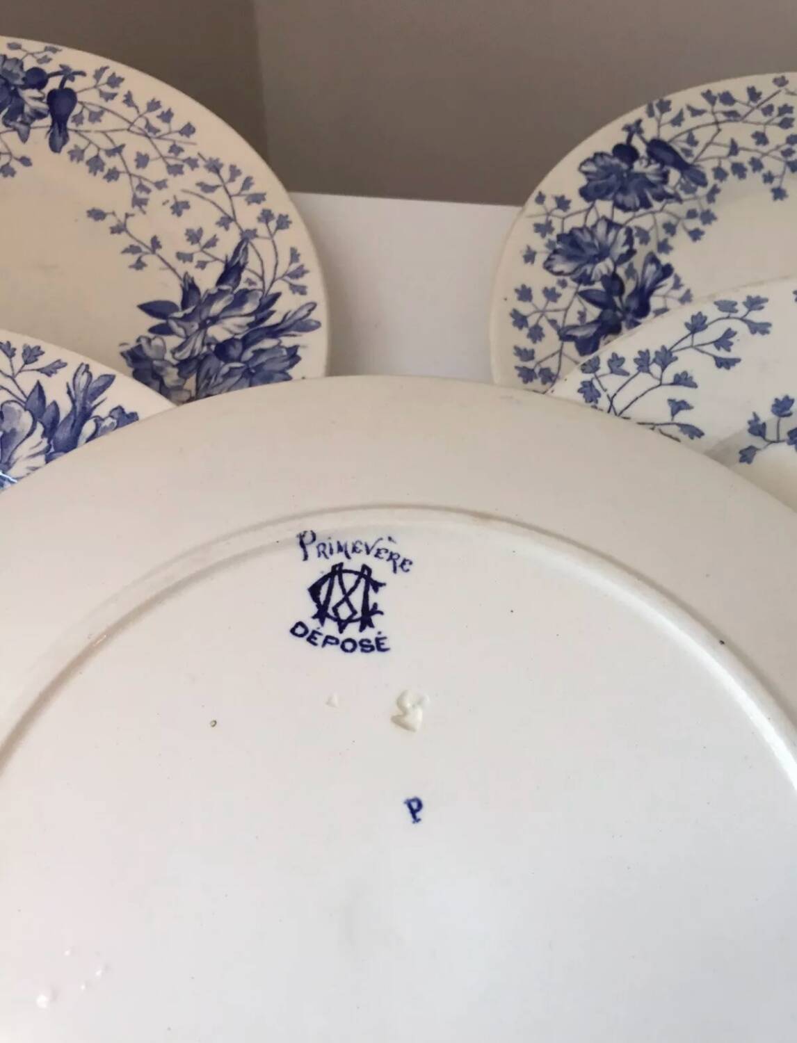 Ironstone plate Creil and Montereau primrose decoration 19th century