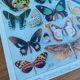 Plate entomology lithograph butterflies Larousse encyclopedia 20th century