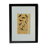 Original Ornithological plate " Pitpit bleu - Roitelet - Roitelet mésange - &c... " Buffon (1836)