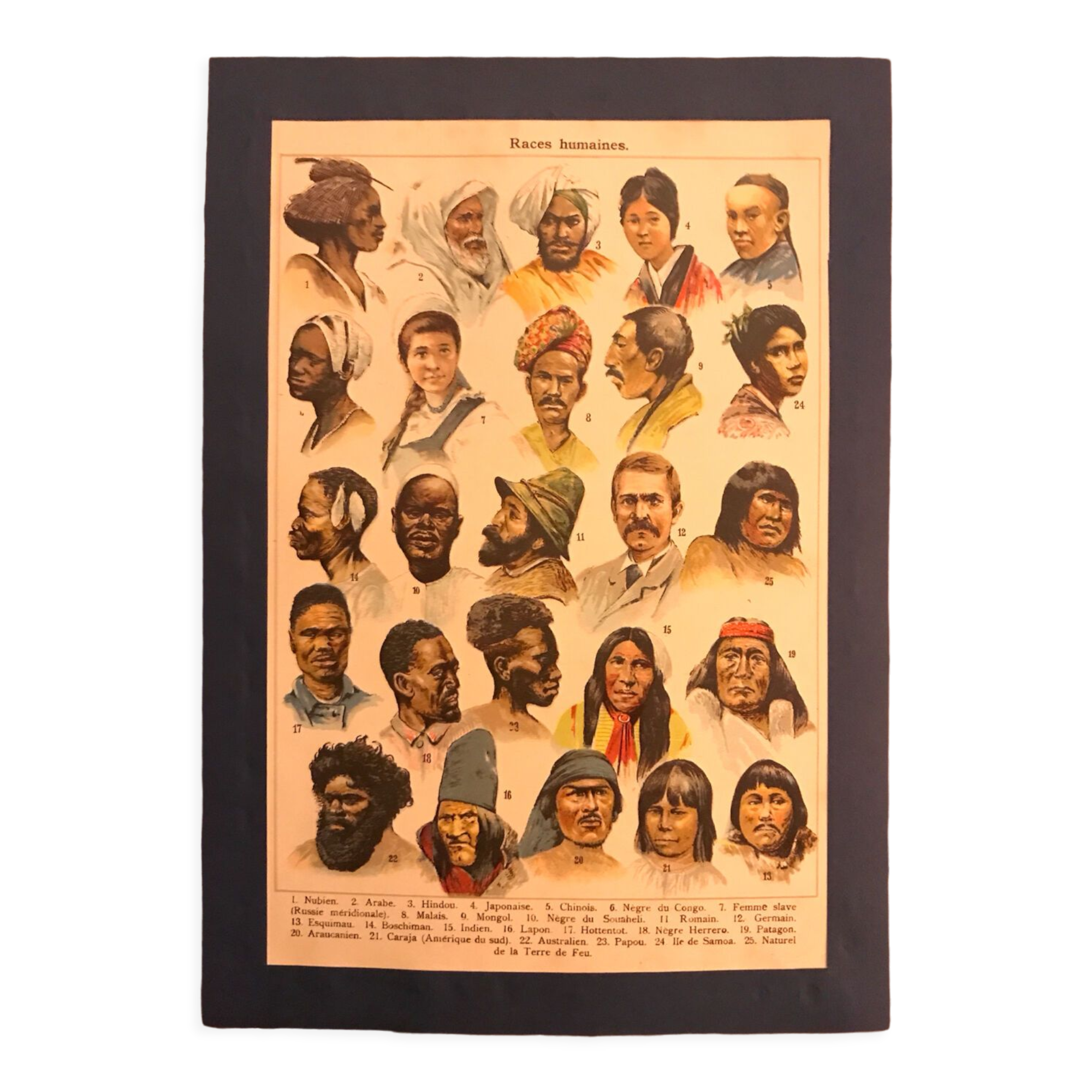 Planche pédagogique « races humaines »