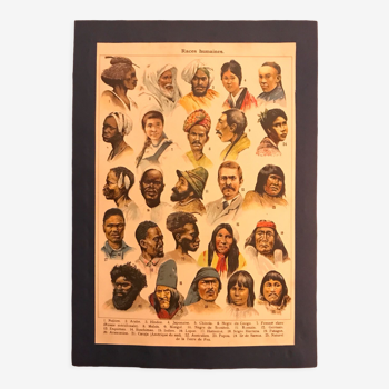 Planche pédagogique « races humaines »