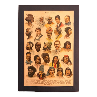Planche pédagogique « races humaines »