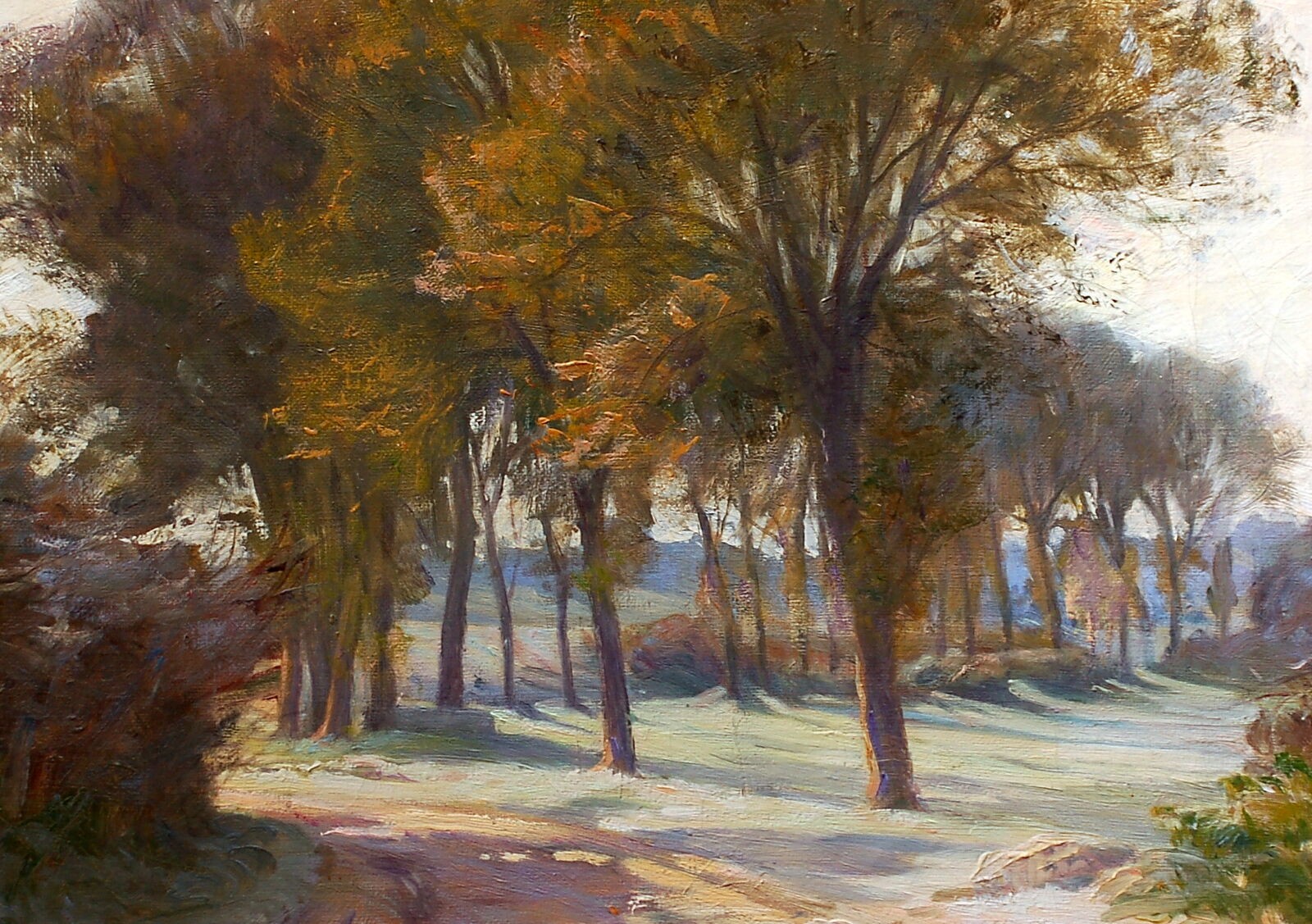Cecile Pellissier landscape, 1905