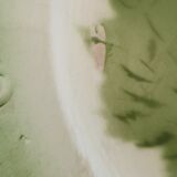 Digoin Sarreguemines plates