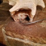 Shell lamp from the 50s