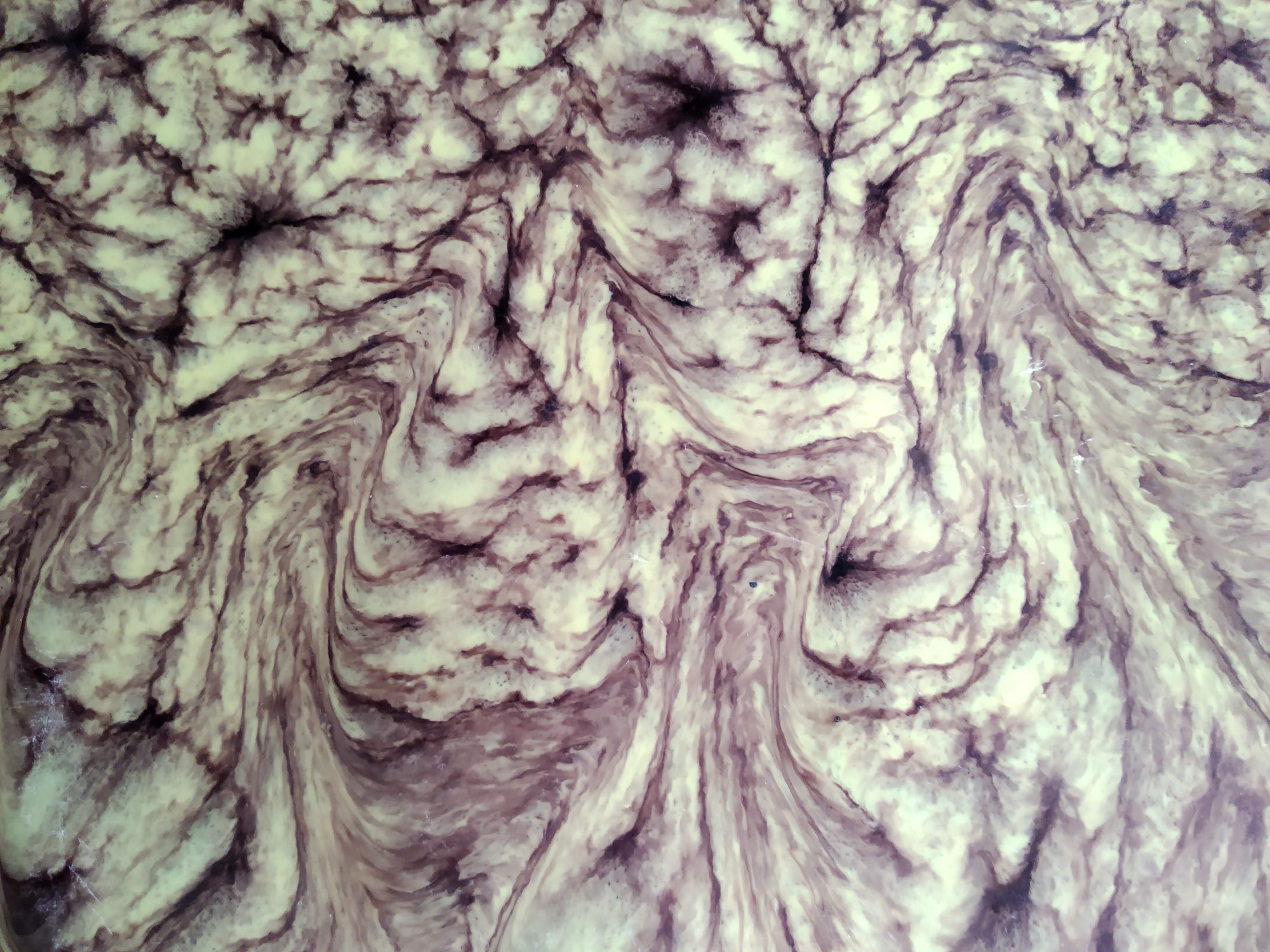 Ceramic dish by Marius Giuge Vallauris
