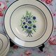 6 old Badonviller organic plates francine blue and green flowers in the stencil