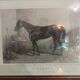 Tableau cheval par Adrien Moreau