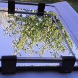 Tray mirror 30 years