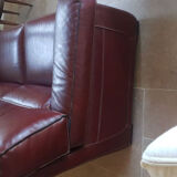 Leather buffalo sofa