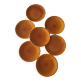 Longchamp flat plates