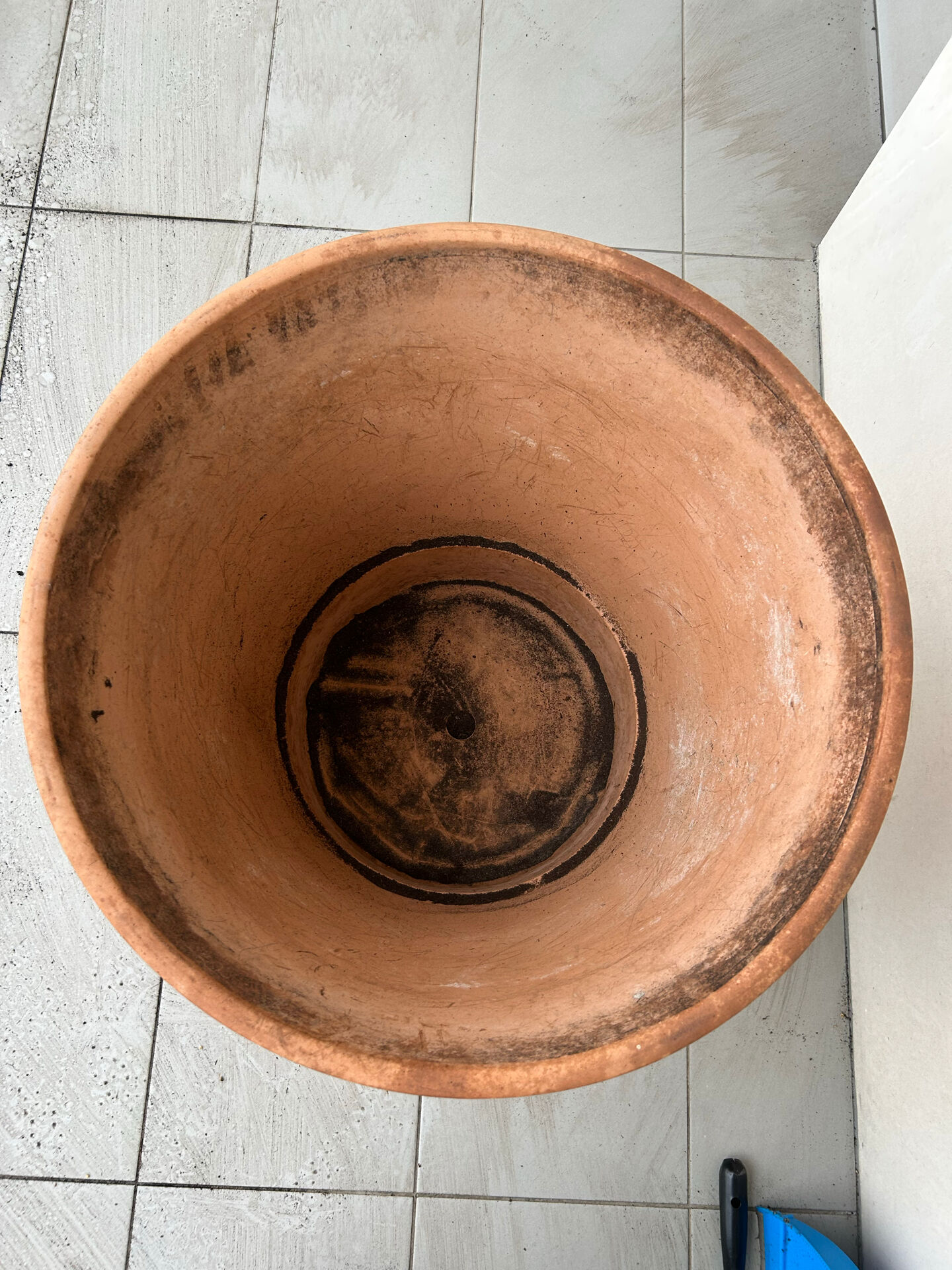 Large terracotta pot