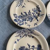 5 flat plates "Flowers" earth iron