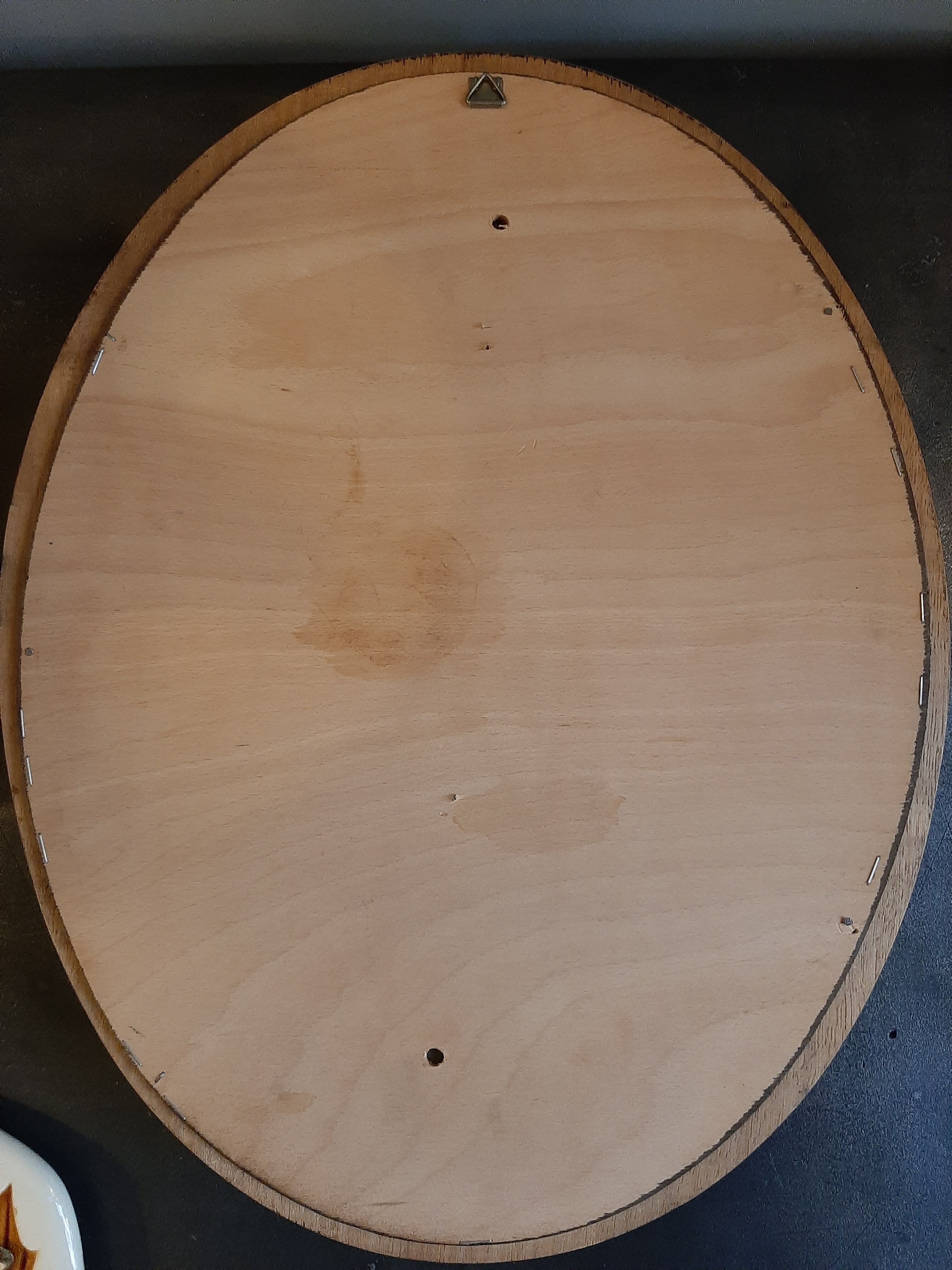 Taxidermy lizard whip-tail