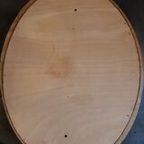 Taxidermy lizard whip-tail