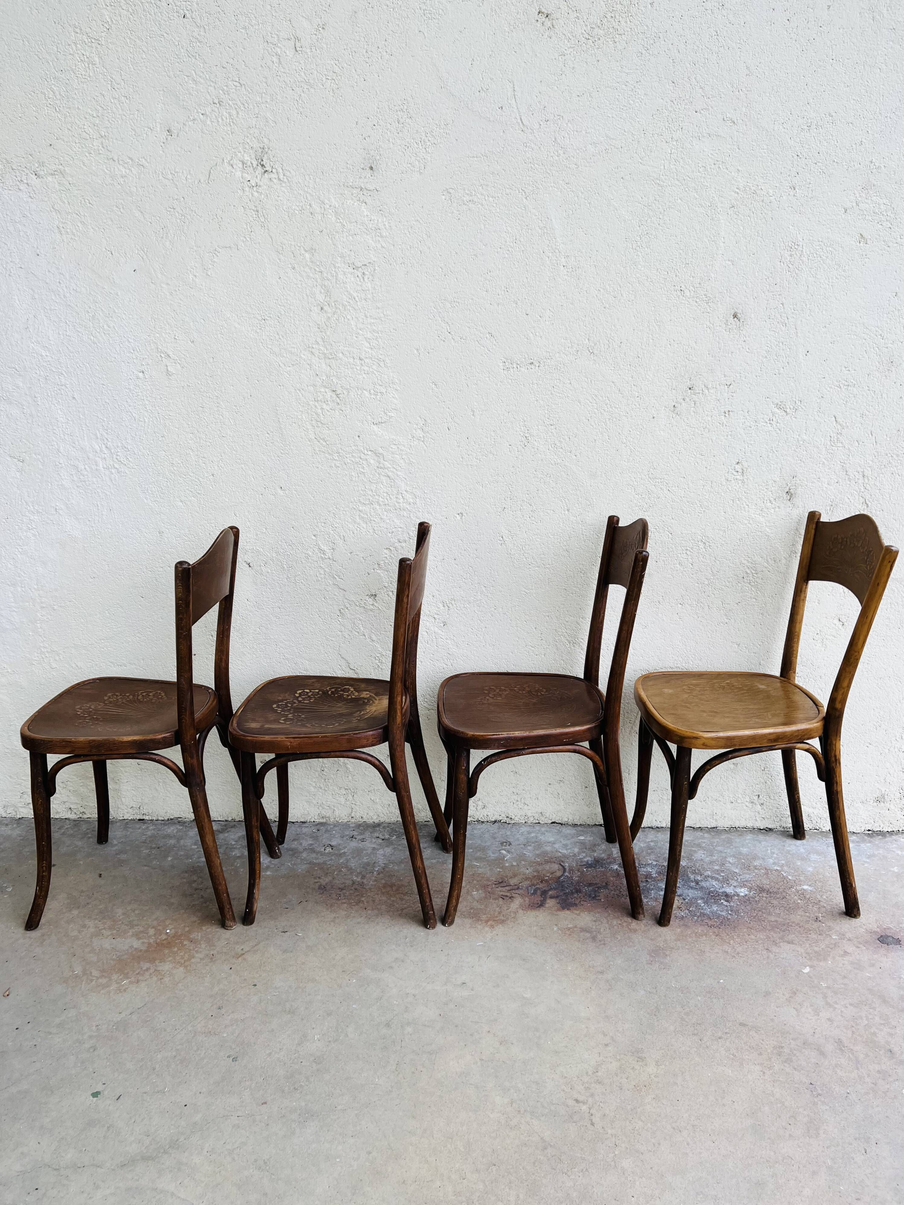 Chairs bistrot thonet