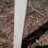 Thonet folding chair