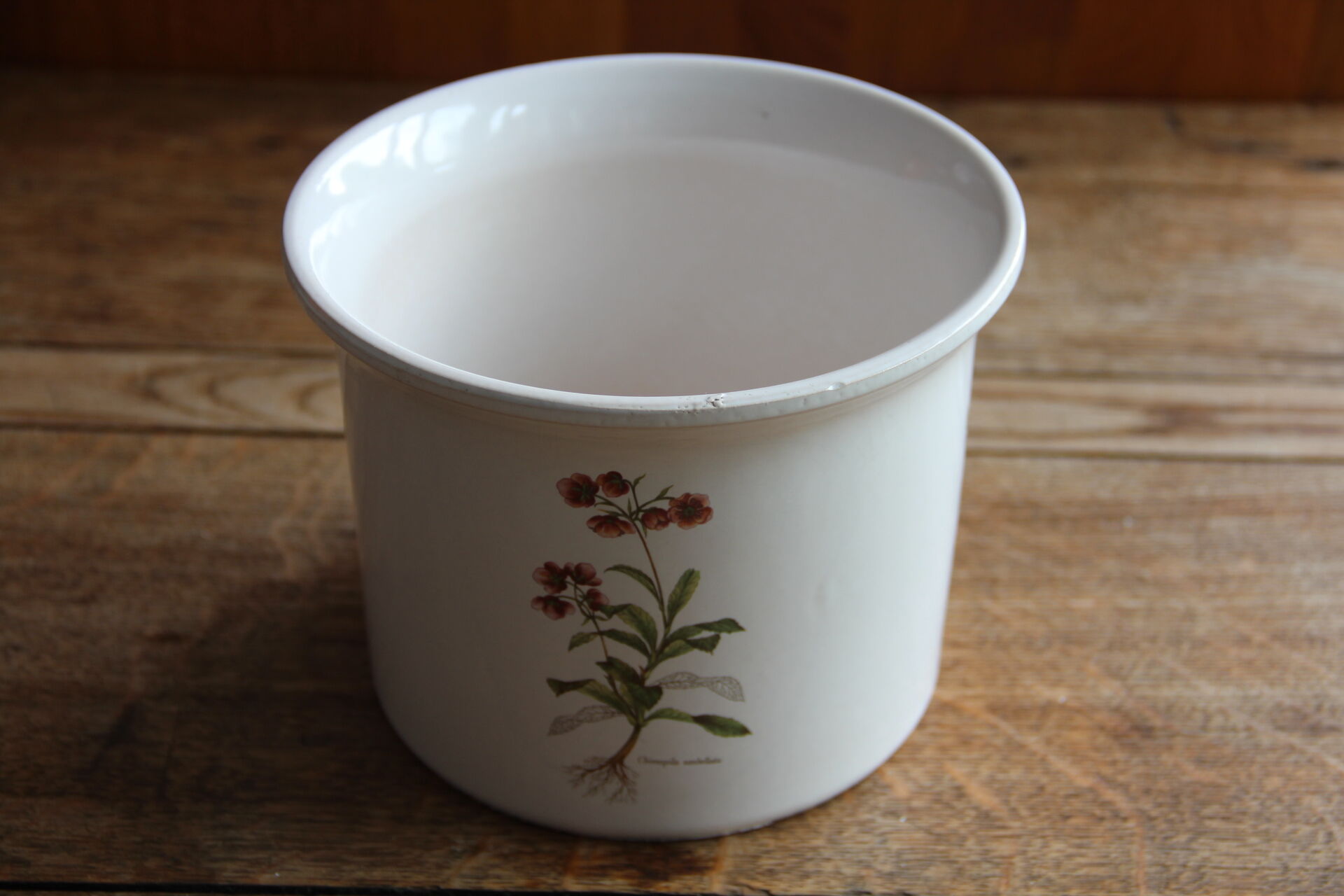 Plant illustration pot